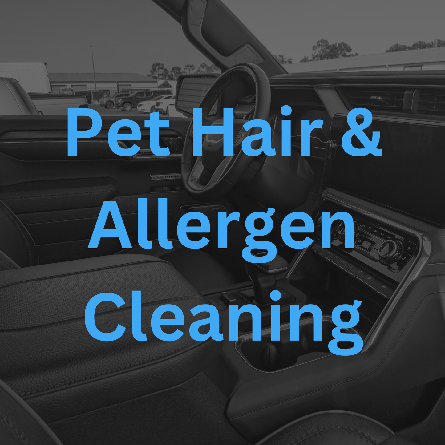 Pet Hair & Allergen Cleaning