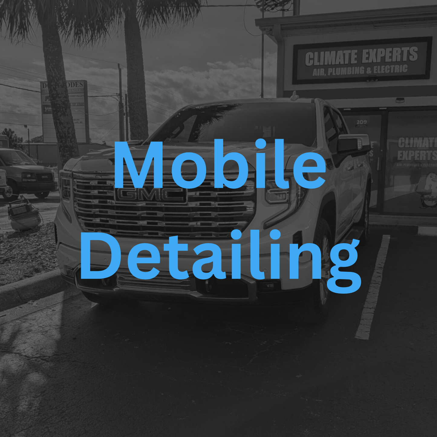 Mobile Detailing