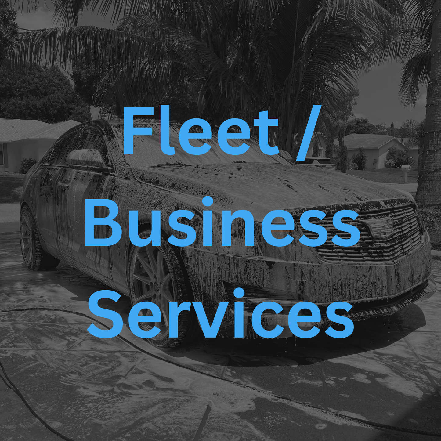 Fleet / Business Services